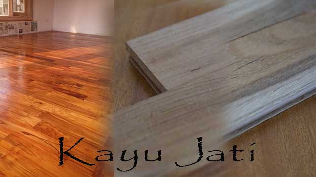 Ayo Segera Pahami Karakteristik Kayu Jati 1 Karakteristik Kayu Jati