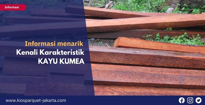 Kualitas Kayu Kumea yang Cocok Untuk Kebutuhan Bangunan Rumah 2 kayu kumea