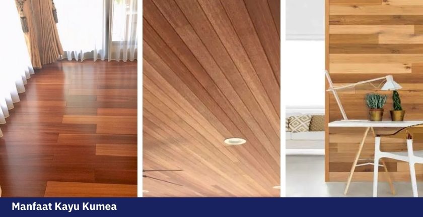 Kualitas Kayu Kumea yang Cocok Untuk Kebutuhan Bangunan Rumah 6 Kayu kumea 5