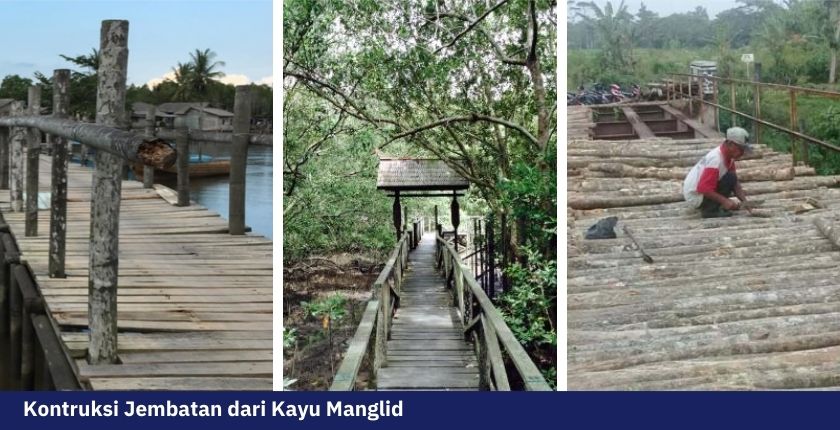 Kayu Manglid: Bahas karakteristik, Manfaat, dan Plus Minusnya 8 Mengenal kayu Manglid 7