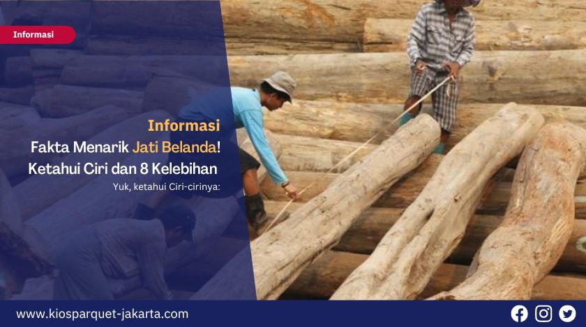 Fakta Menarik Jati Belanda! Ketahui Ciri dan 8 Kelebihan untuk Furniture 2 Jati Belanda