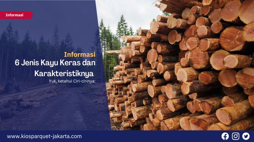 Berikut 6 Jenis Kayu Keras dan karakateristiknya yang Kuat Puluhan Tahun! 10 Jenis kayu keras