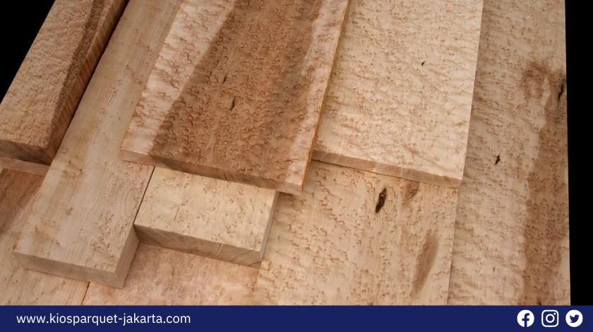 Apa itu Kayu Maple? ini Fakta dan Kualitas yang jarang Diketahui! 3 Kayu Maple 2
