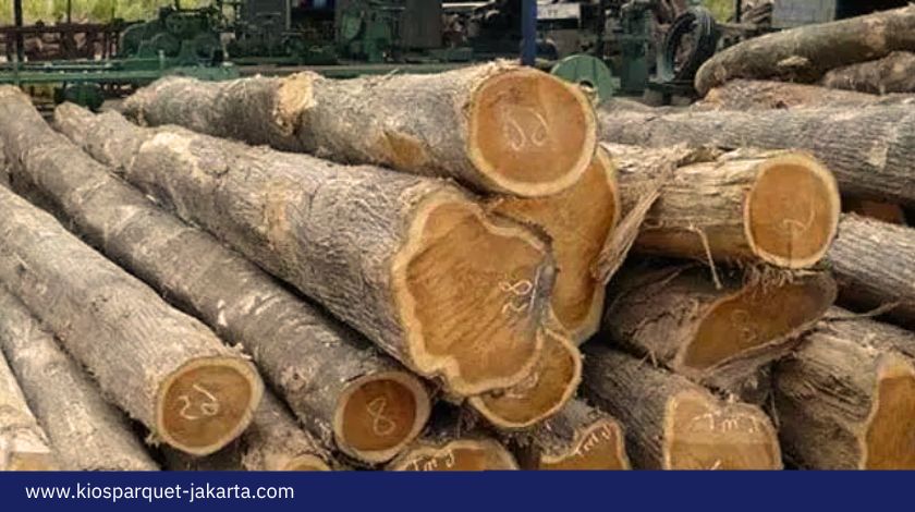 Perbandingan Kayu Jati Perhutani dan Jati Rakyat, dari Segala Aspek 4 Perbandingan Kayu Jati Perhutani dan Jati Rakyat 2
