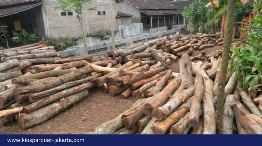 5 Fakta Menarik Kayu Akasia, Ketahui Terlebih dahulu! 3 Kayu Akasia 2