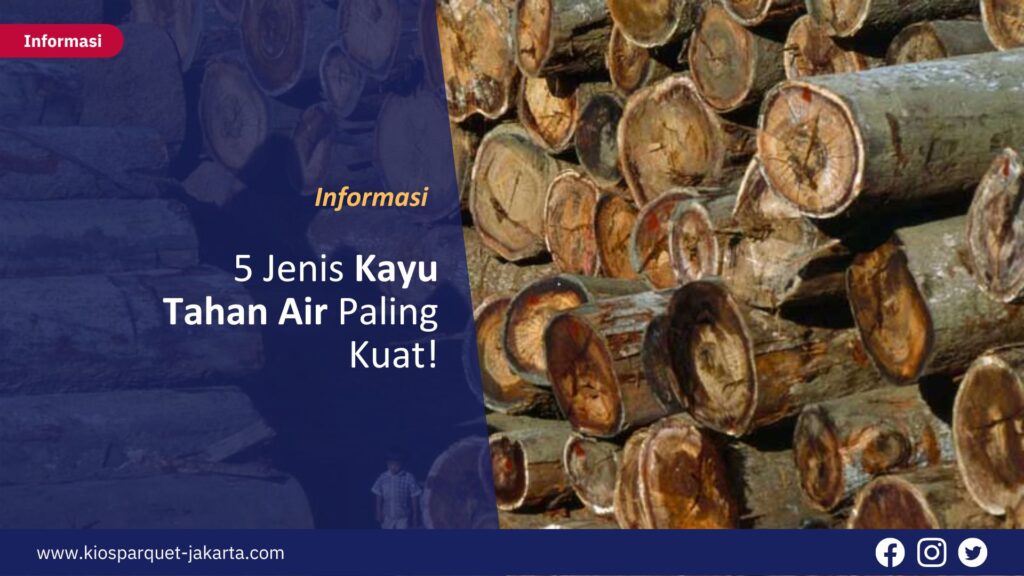 5 Jenis Kayu Tahan Air Paling Kuat! 4 Jenis Kayu Tahan Air