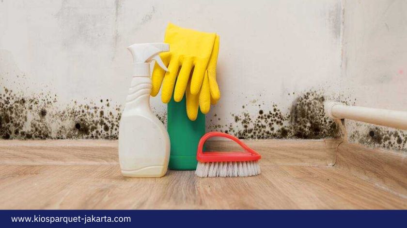 10 Cara Mencegah Jamur Pada Lantai Kayu Paling Simple 3 Cara Mencegah Jamur Pada Lantai Kayu 2