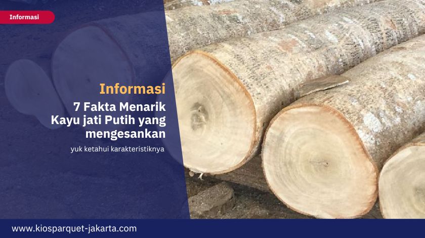 7 Fakta Menarik dari Jati Putih & Kenali Kualitasnya 5 Fakta Jati Putih 3