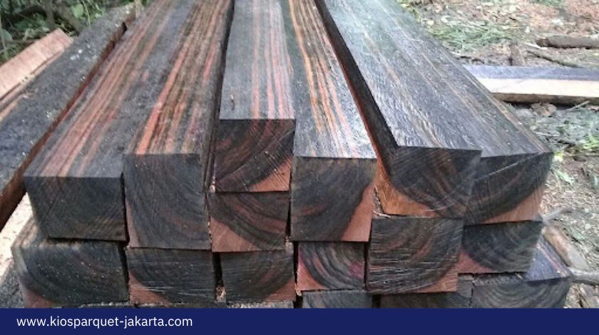 7 Fakta Menarik dari Kayu Amara yang Jarang diketahui 3 Kayu Amara 1