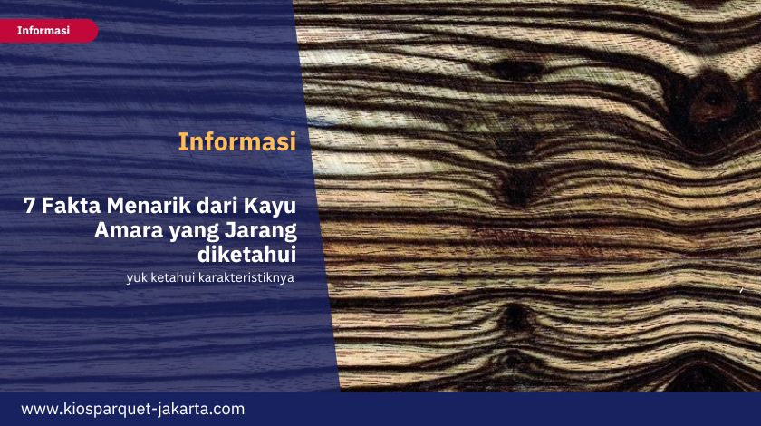 7 Fakta Menarik dari Kayu Amara yang Jarang diketahui 3 Kayu Amara 2