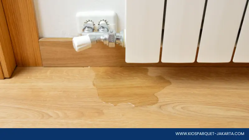 10 Cara Mencegah Jamur Pada Lantai Kayu Paling Simple 6 Cegah jamur pada lantai kayu