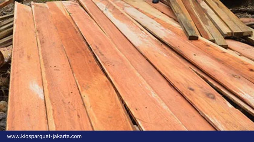 Apa itu Kayu Randu? Ketahui Kualitas dan Kegunaannya 2 Apa itu Kayu Randu 2