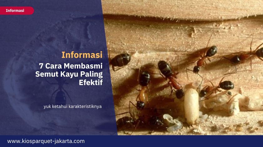 7 Cara Membasmi Semut Kayu Paling Efektif 4 Cara Membasmi Semut Kayu (3)