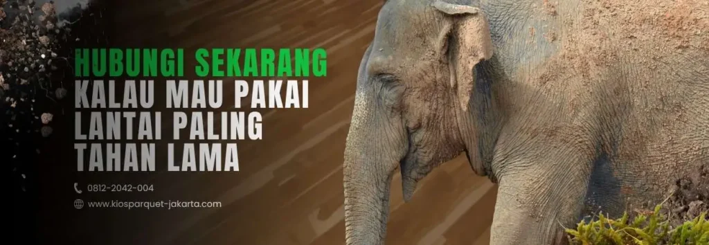 7 Cara Membasmi Semut Kayu Paling Efektif 3 Jual Lantai Kayu 2