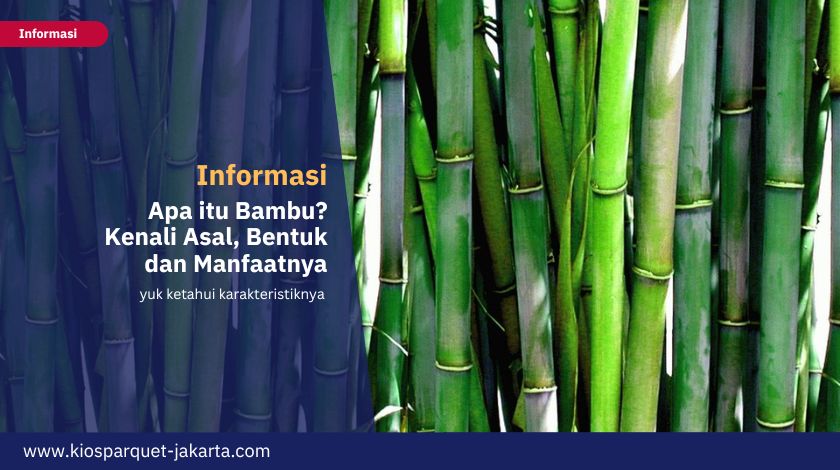 Apa itu Bambu? Kenali Asal, Bentuk dan Manfaatnya 5 Mengenal Bambu 3