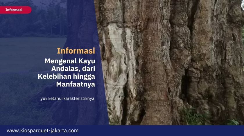Mengenal Kayu Andalas, dari Kelebihan hingga Manfaatnya 1 Mengenal Kayu Andalas 3