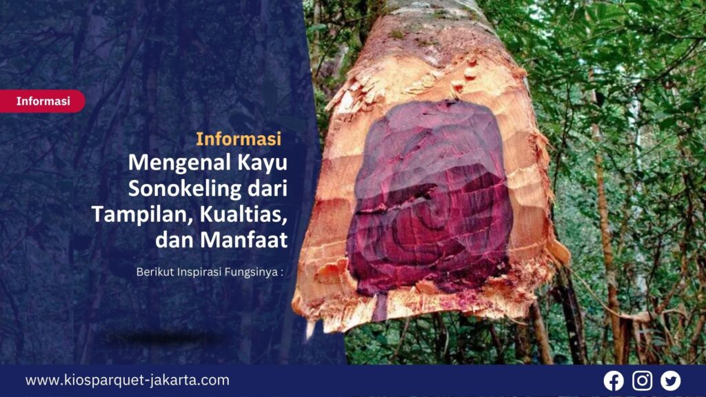 Mengenal Kayu Sonokeling dari Tampilan, Kualtias, dan Manfaat 9 Decking tile 3 1