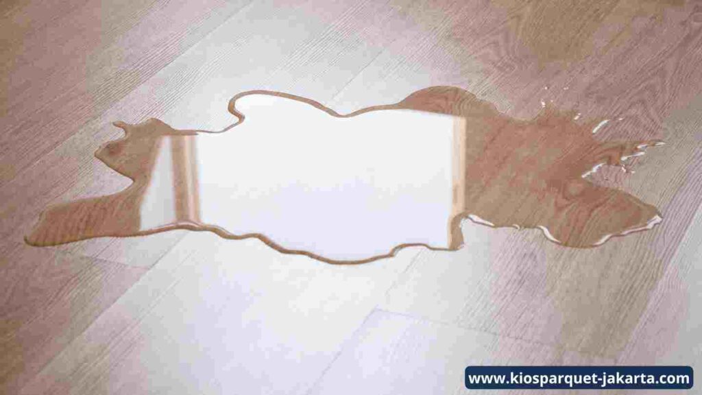 Ini Dia 4 Faktor yang Bisa Merusak Lantai Kayu 4 Adanya Genangan Air