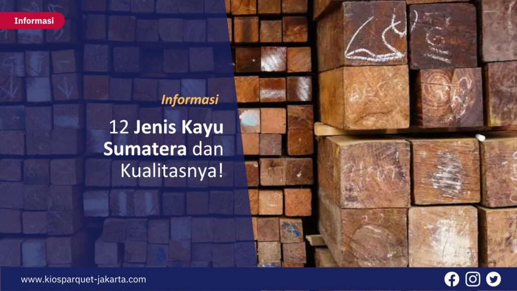 12 Jenis Kayu Sumatera dan Kualitasnya! 7 Jenis Kayu Sumatera