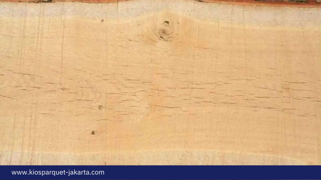 12 Jenis Kayu Sumatera dan Kualitasnya! 4 Jenis Kayu Sumatera 3