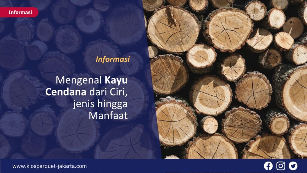 Mengenal Kayu Cendana dari Ciri, jenis hingga Manfaat 2 Kayu Cendana