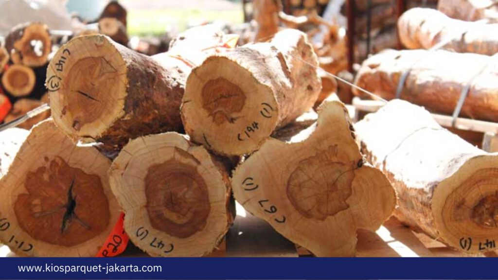 Mengenal Kayu Cendana dari Ciri, jenis hingga Manfaat 3 Kayu Cendana 3