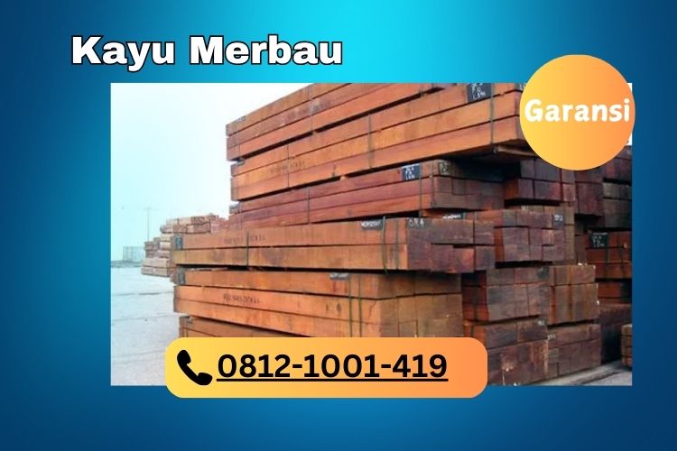 Kayu Merbau: Kelebihan, Karakteristik, dan Penggunaannya 7 cover lantai kayu kota