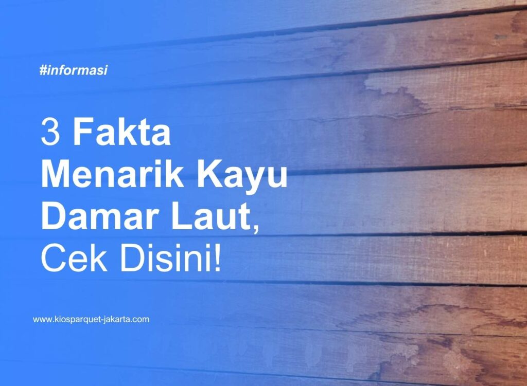 3 Fakta Menarik Kayu Damar Laut, Cek Disini! 2 Kayu Damar Laut 3