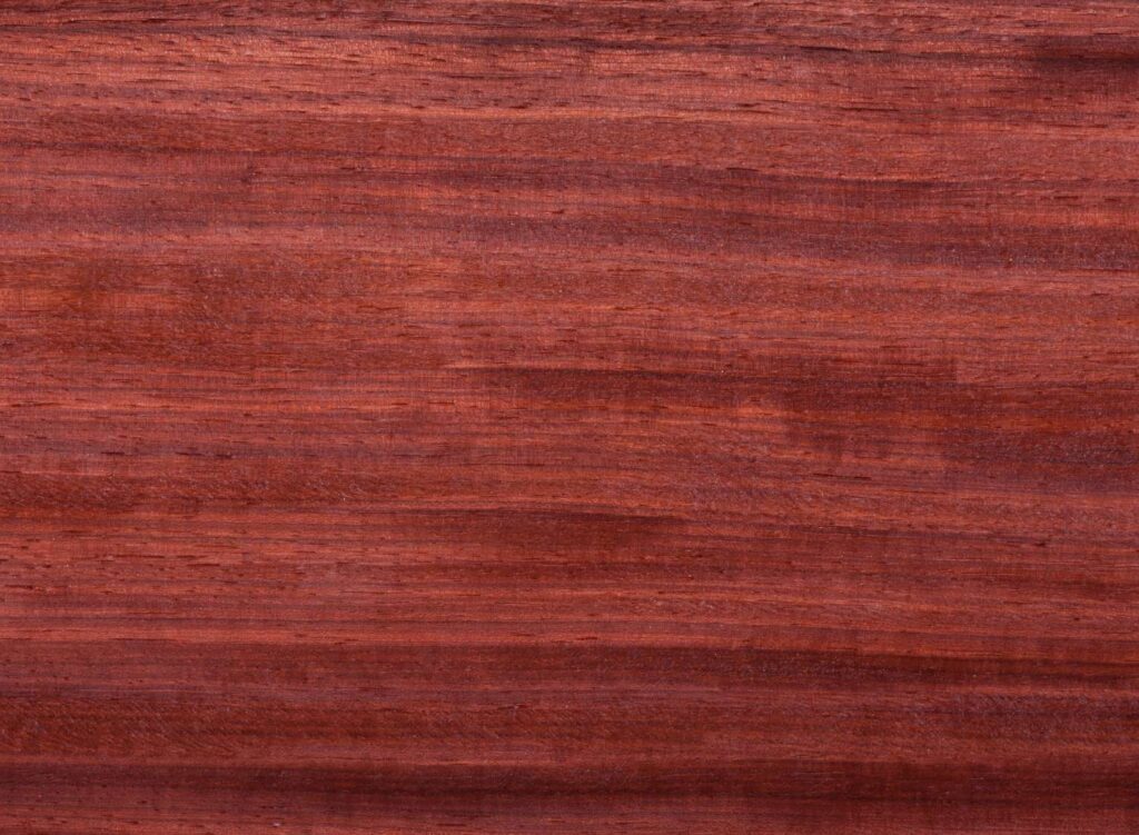 10 Jenis Kayu Warna Merah Asal Indonesia 4 Kayu Warna Merah 3